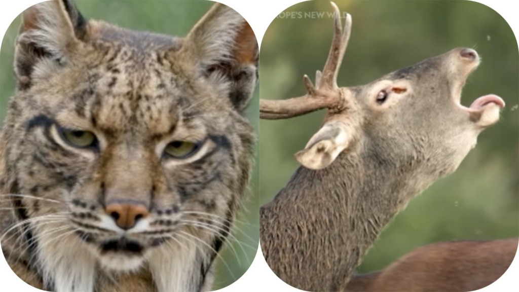 new-year-resolutions