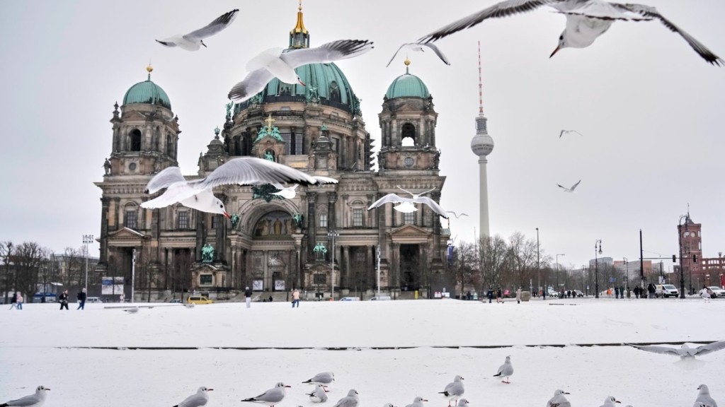 verolino xioni 09- new