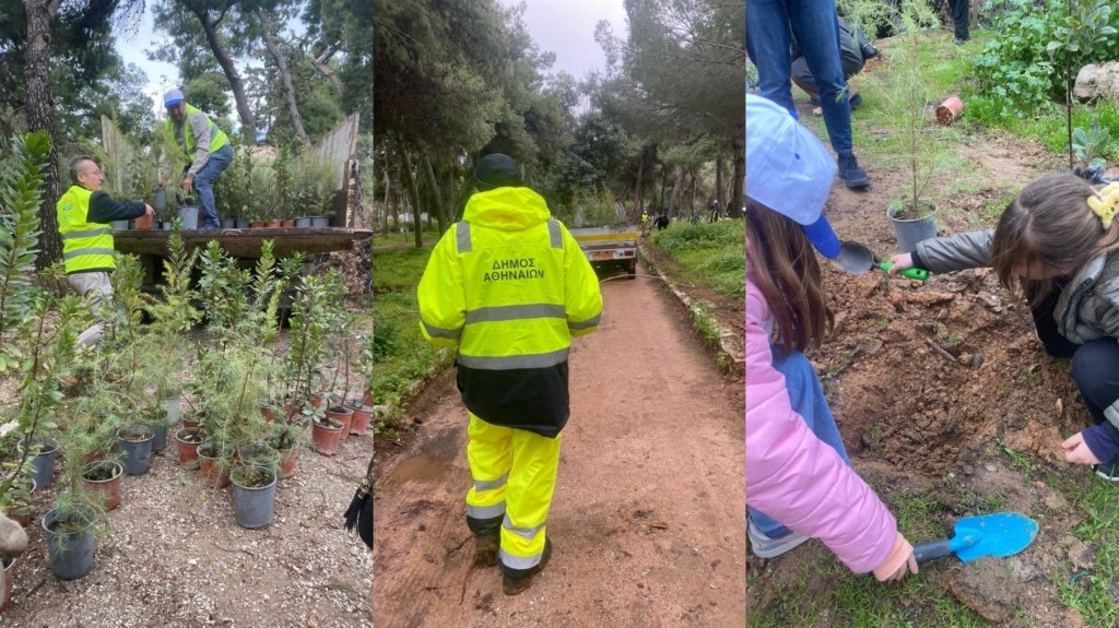 dentra_dimos_athinaion_new