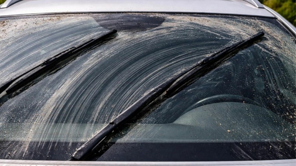 main_yaloka8aristires