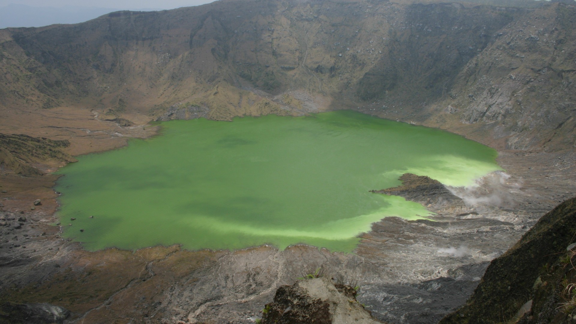 Παγκόσμιο ορόσημο: Οι μέλισσες, το πρώτο έντομο στην ιστορία που μόλις απέκτησε νομικά δικαιώματα