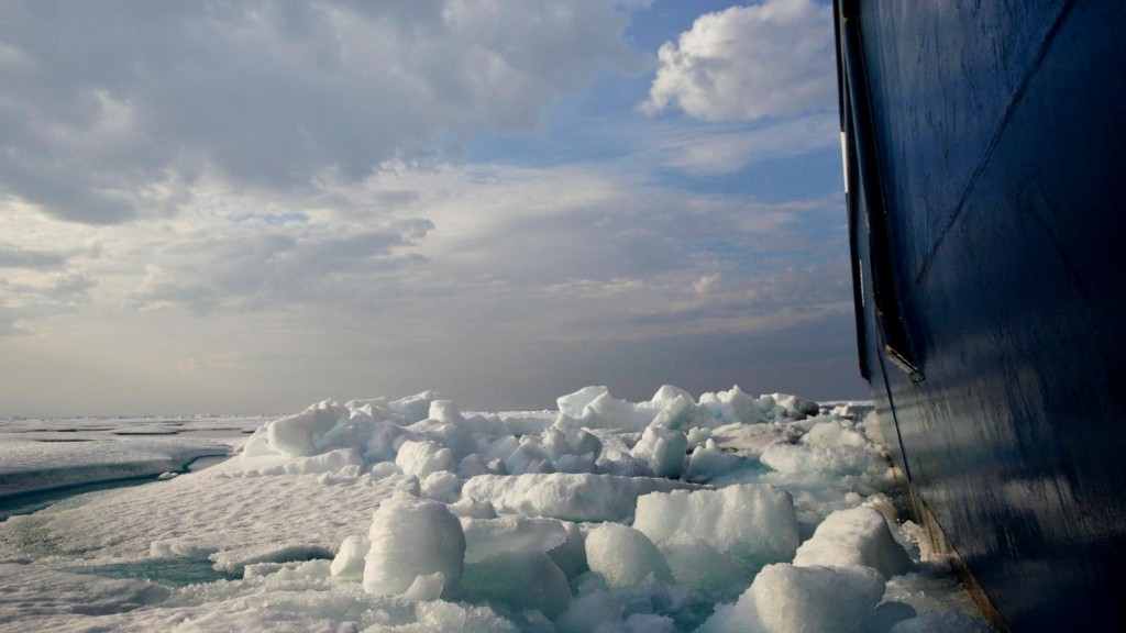 pagothraustiko arktiki – new