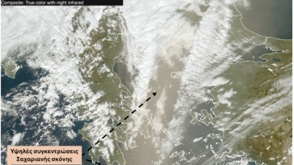 skoni afrikaniki (1)