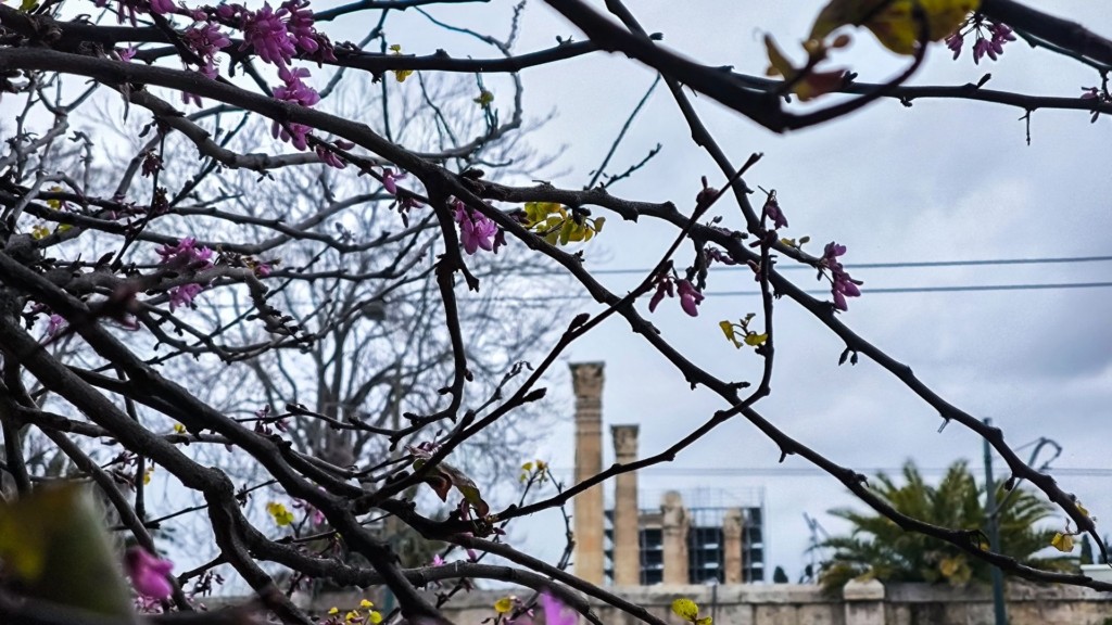 kairos anoixi 99- new