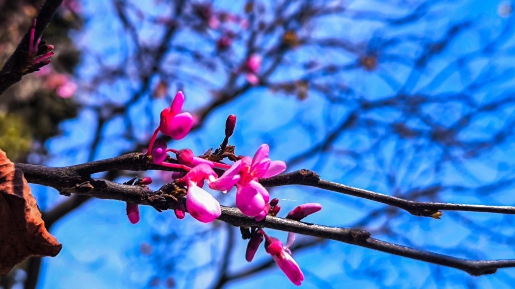 kairos_1103_1920-1080_new