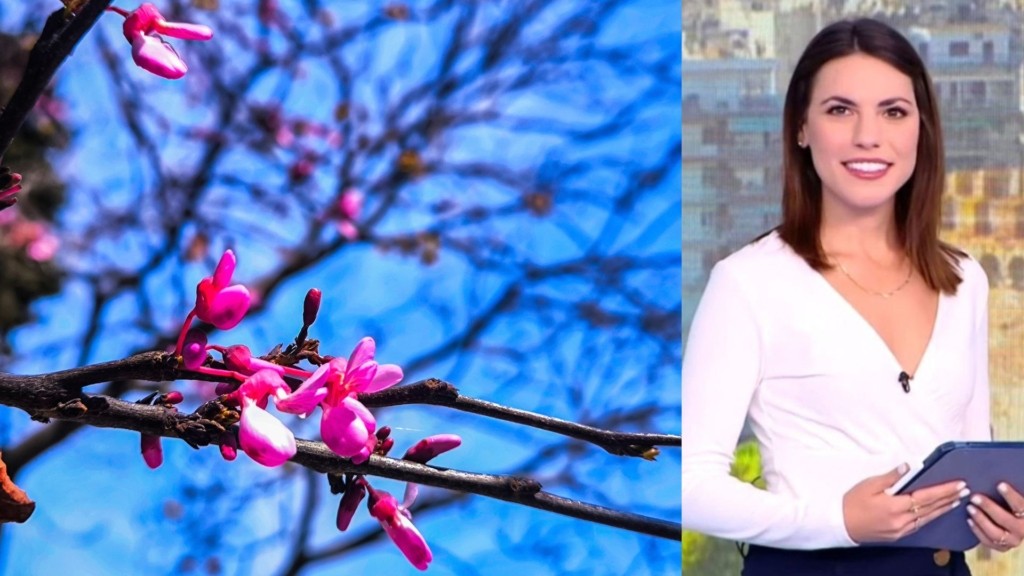 malesi anoixi 99- new