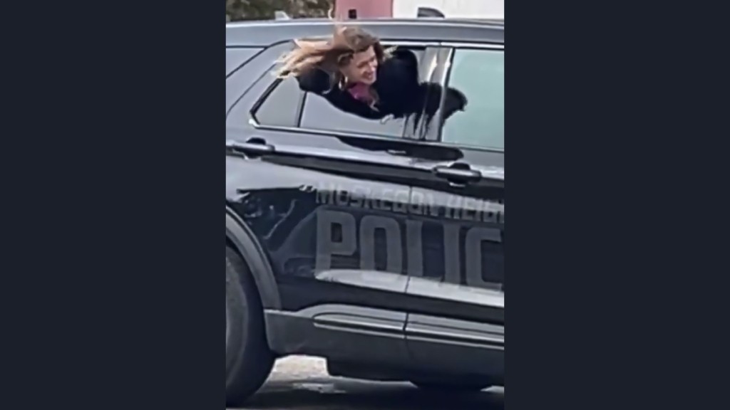 michigan-apodrasi-peripoliko