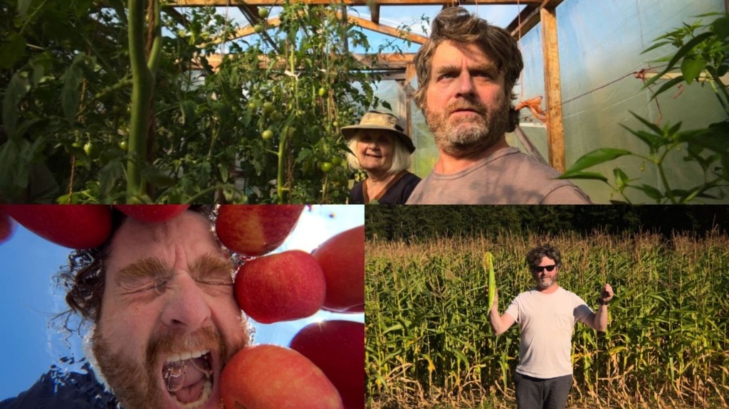 netflix_galifianakis_new