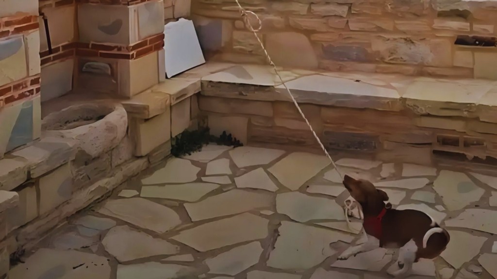 skylos-kriti-kampana