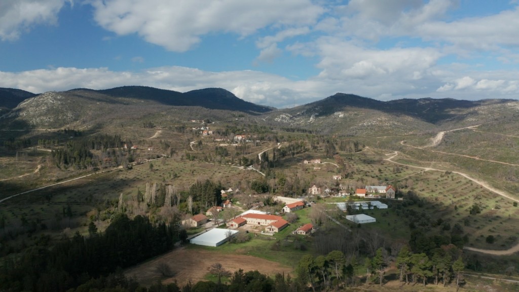 tatoi