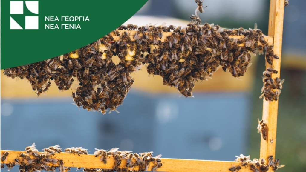 MixCollage-01-Apr-2026-05-44-AM-1169