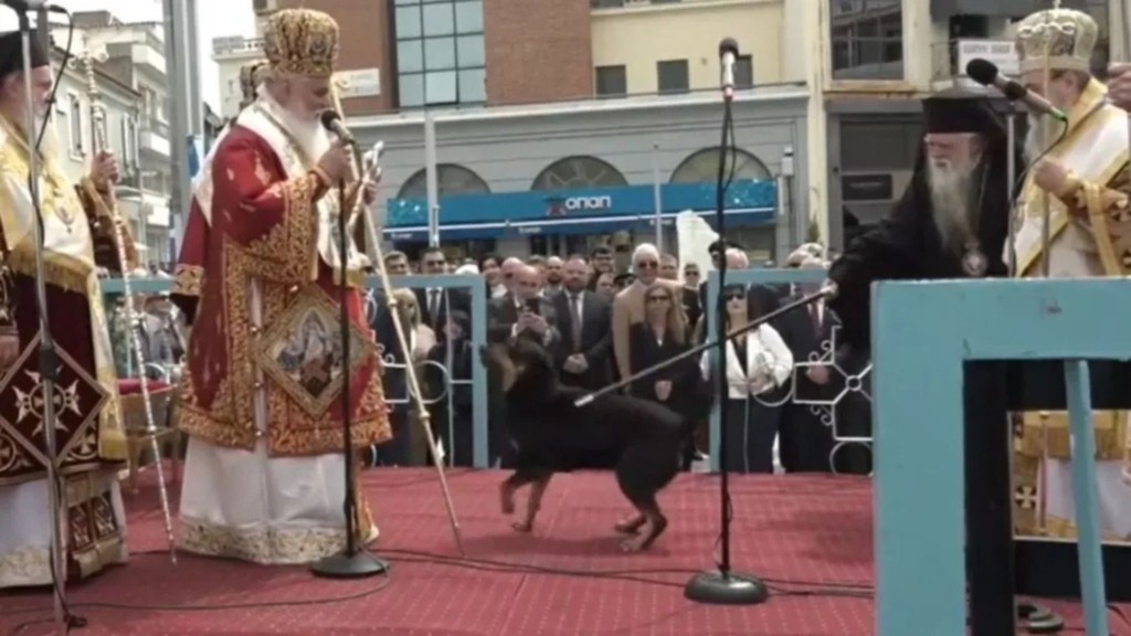 amvrosios skilos 66- new