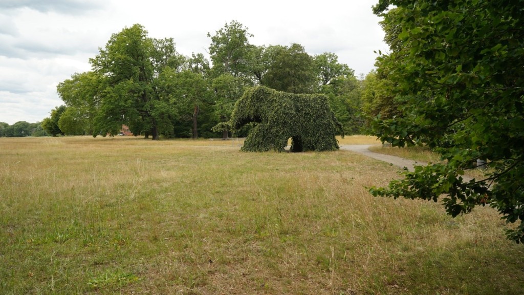 elephant-tree-potsdam-3