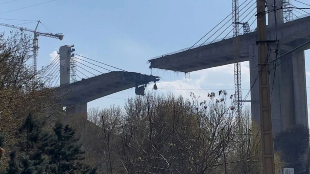 gefira-texerani-8234