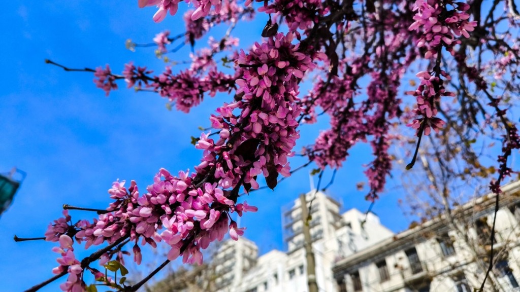 kairos anoixi loyloydia – new