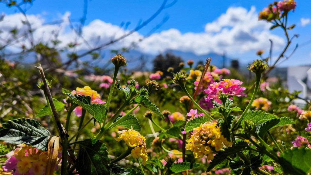 kairos_0904_1920-1080_new