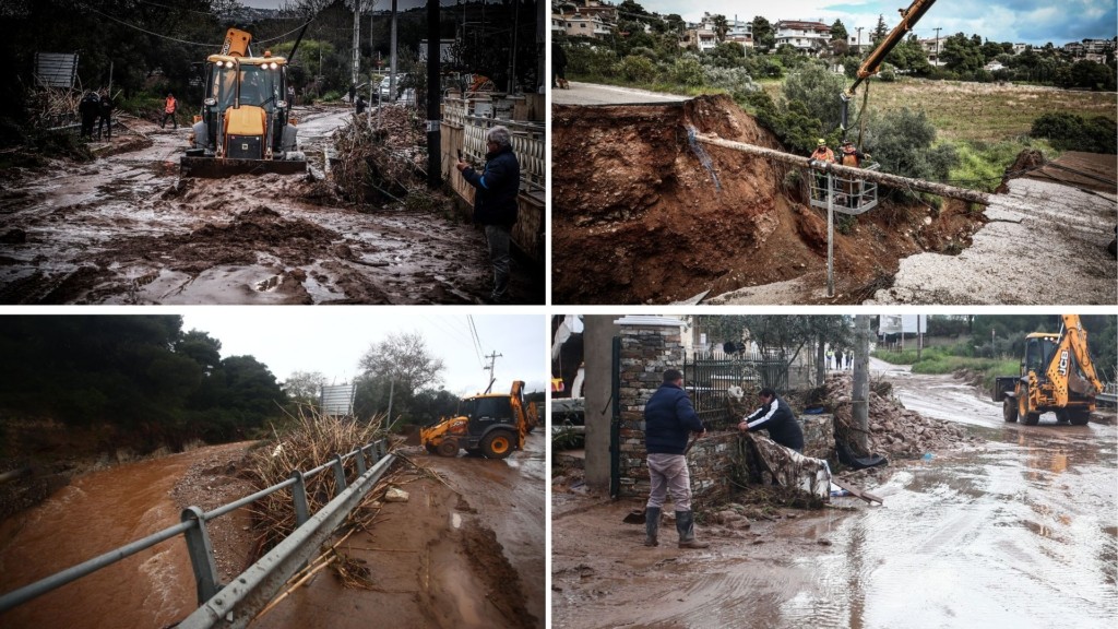 kakokairia erminio zimies 44- new