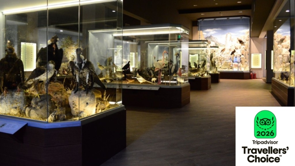 museum-diethnis_diakrisi-new