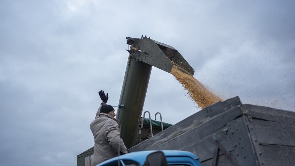 ukraine_grain_new_new
