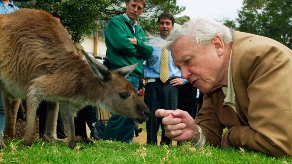 Attenborough