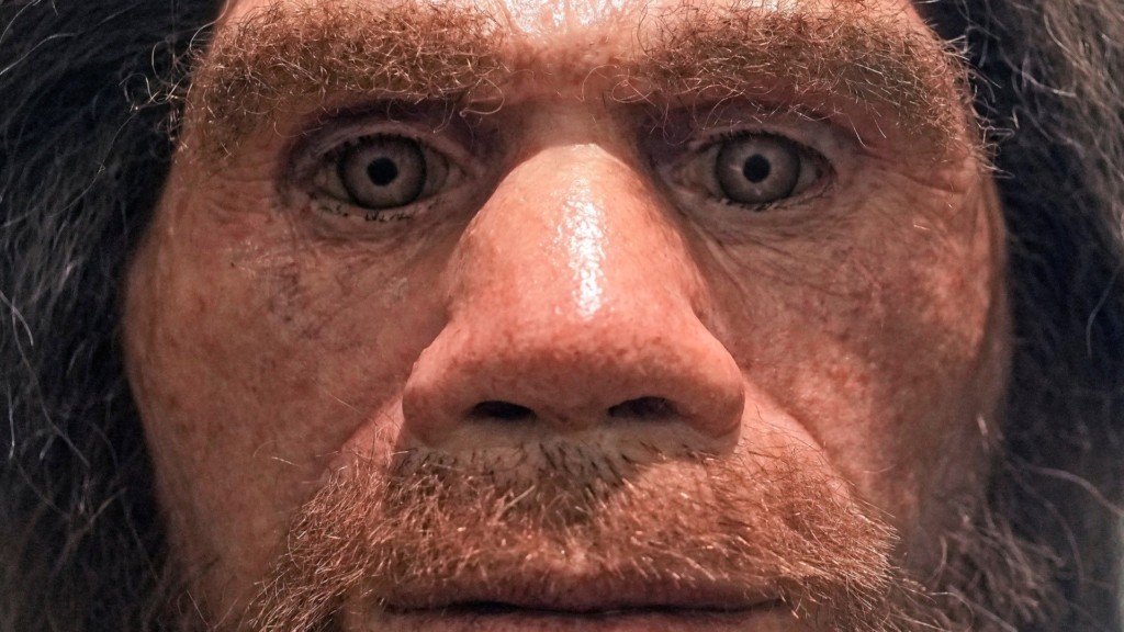Neanderthals