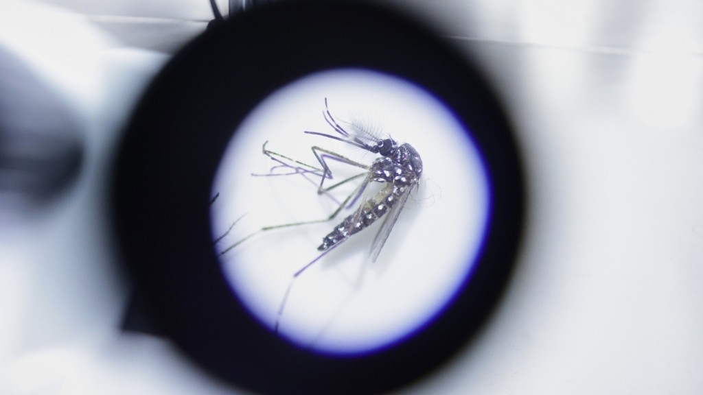 aedes-mosquito_2205_1920-1080_new