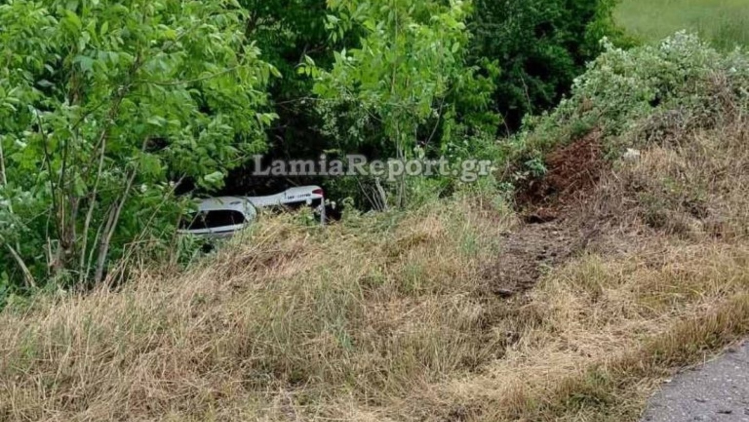 Φθιώτιδα: Αγροτικό ανετράπη, έπεσε από ύψος και κατέληξε σε χωράφι (Video)