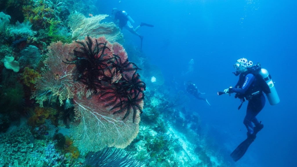 scuba diving