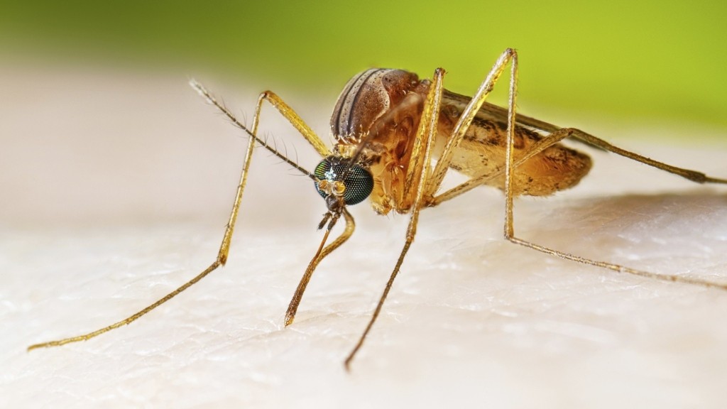 west-nile-virus_2905_1920-1080_new