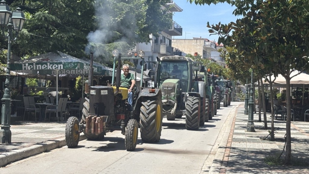 agrotes-1