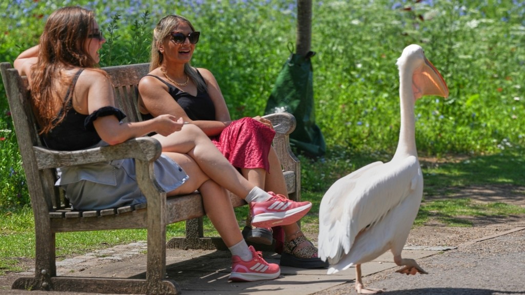 heatwave_UK