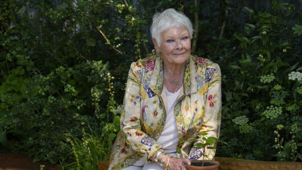 judi-dench_1706_1920-1080_new