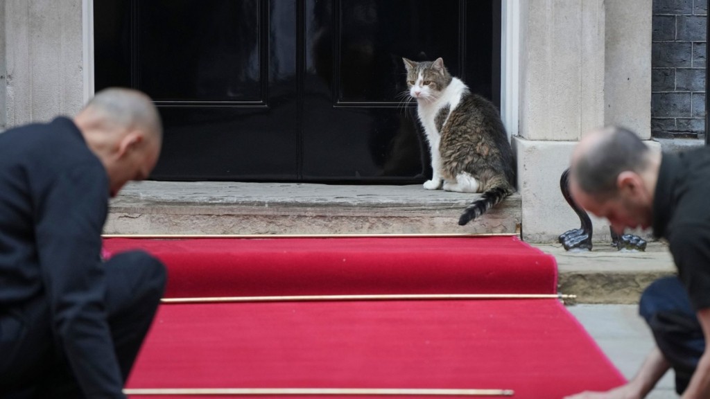 larry-gatos-dowining-street-12