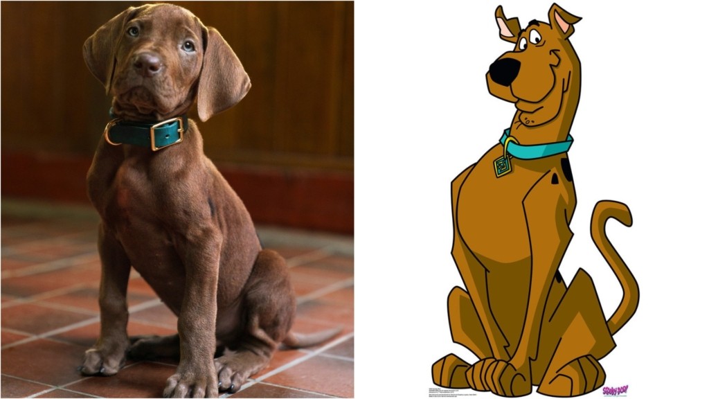 scooby-doo_netflix_0906_1920-1080_new