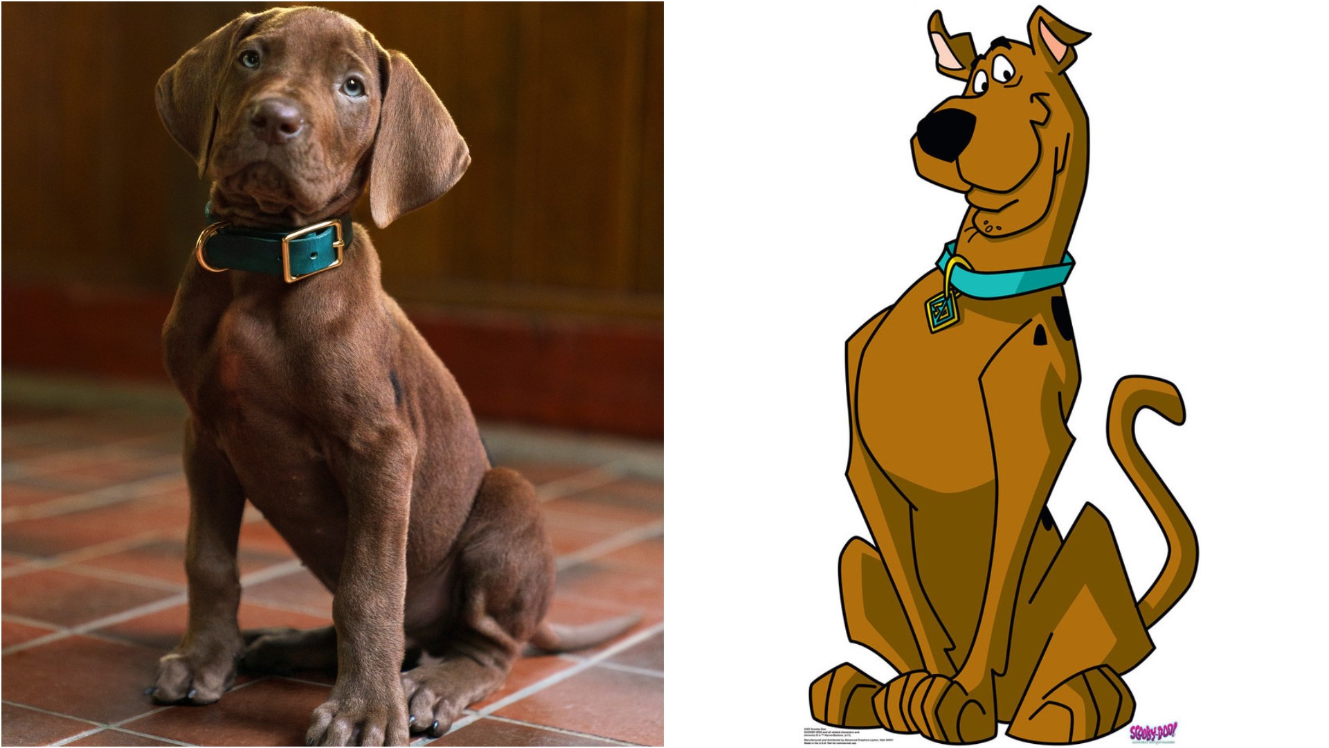 «Scooby-Doo: Origins»: Το Netflix αποκάλυψε τις πρώτες εικόν