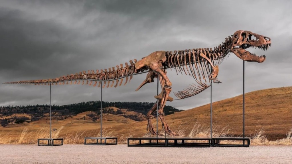t-rex-deinosavros-dimoprasia-sothebys-1