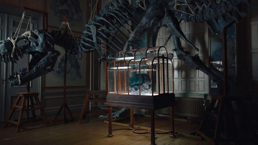 tsanda-t-rex-6