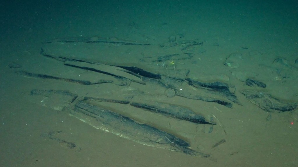 whale graveyard