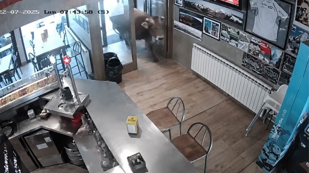 TAVROS_BAR_ISPANIA