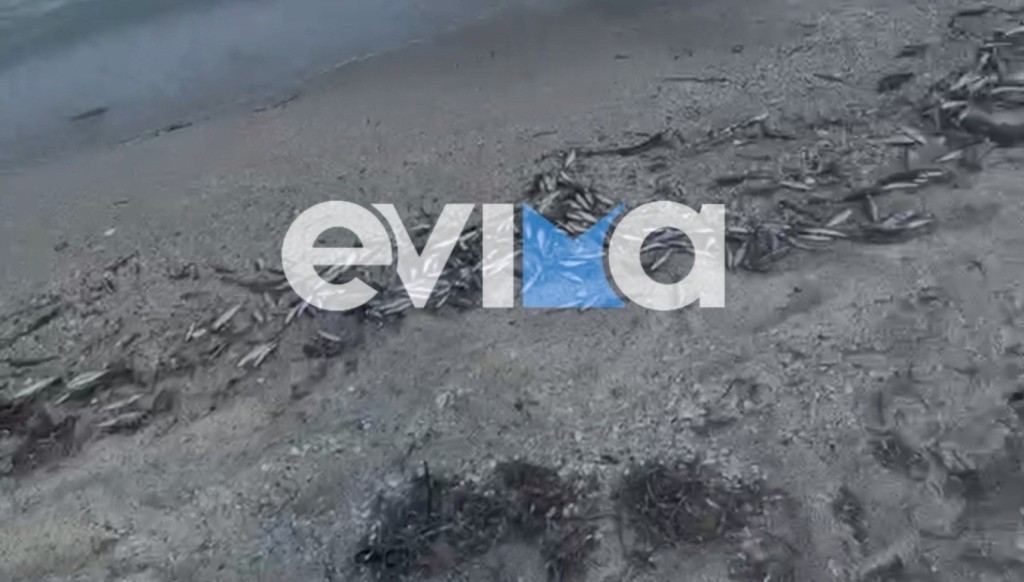 evia_nekrapsaria__2_