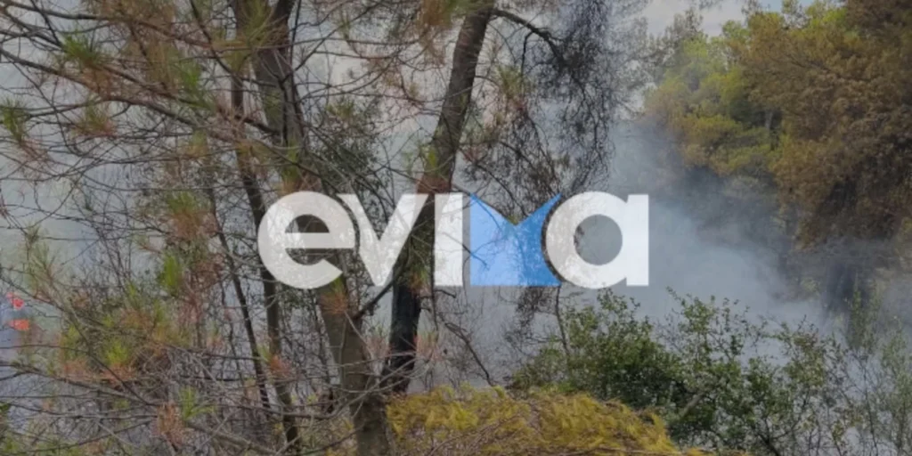 fotia-evia.jpg