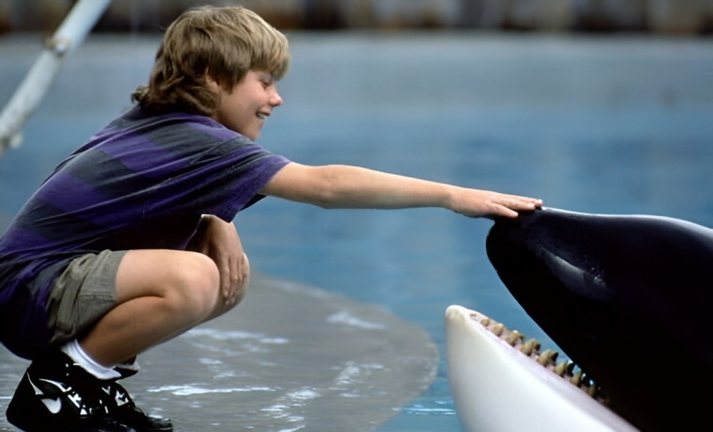 free_willy_photo_2-837034613 (1)