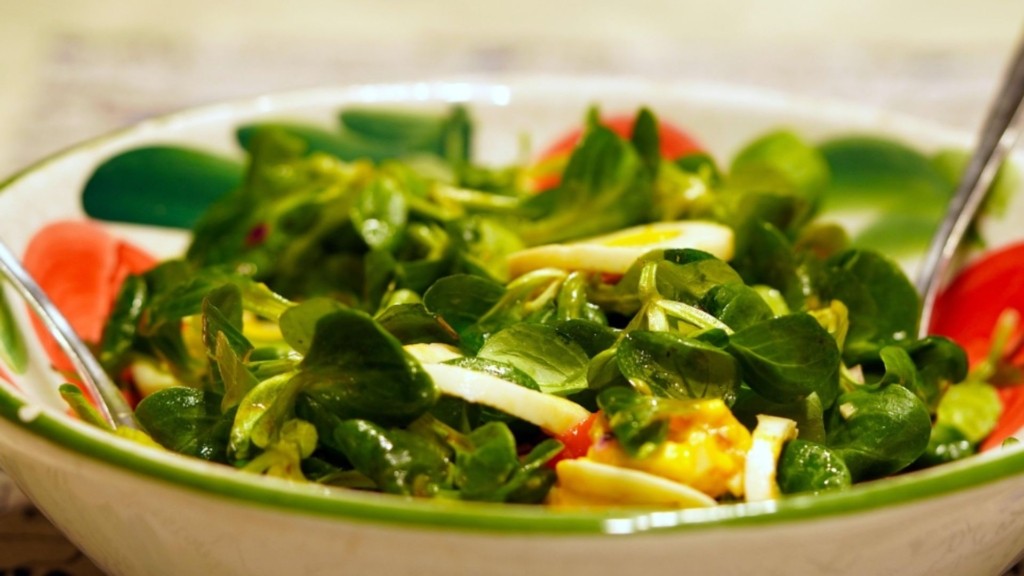 salata-new