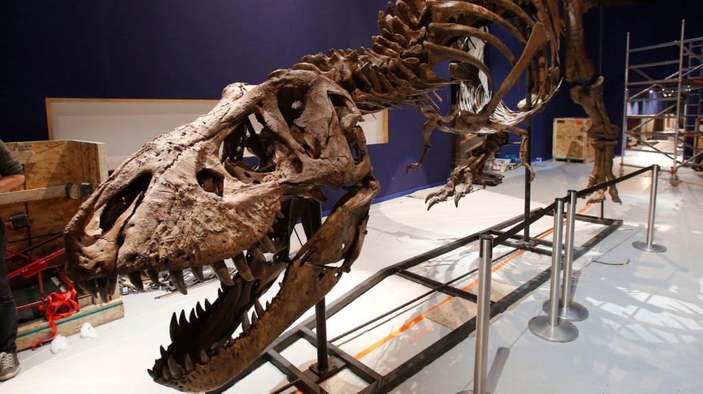 t-rex new