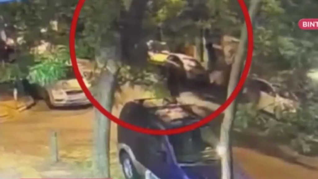 video georgiou grafeio – new