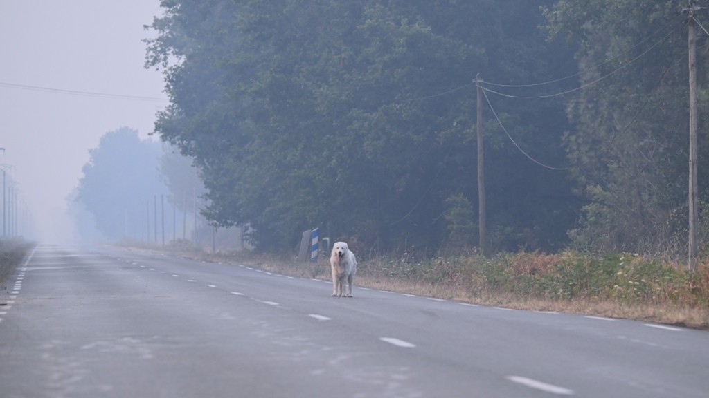 wildfire-france