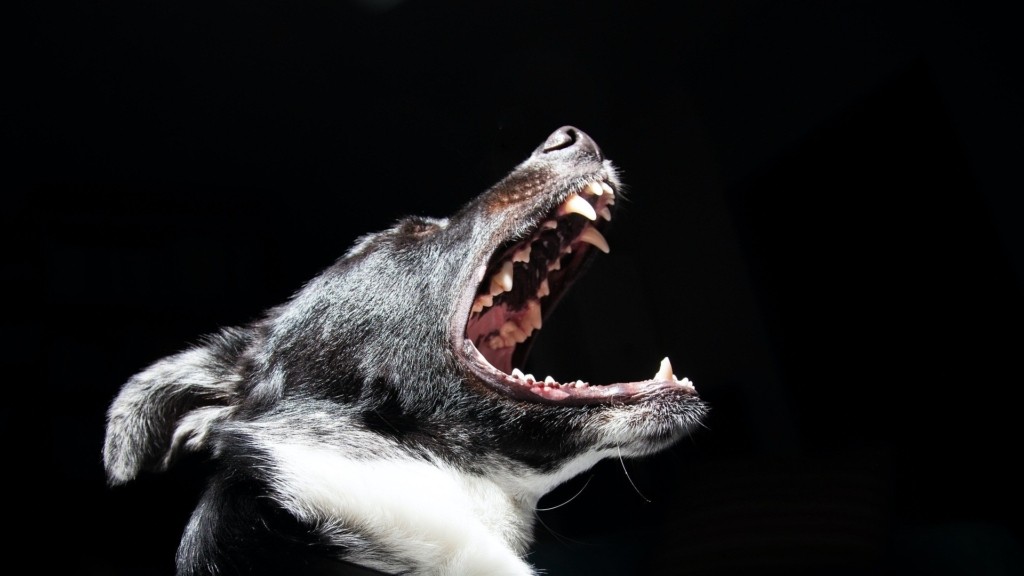 dog_barking_new
