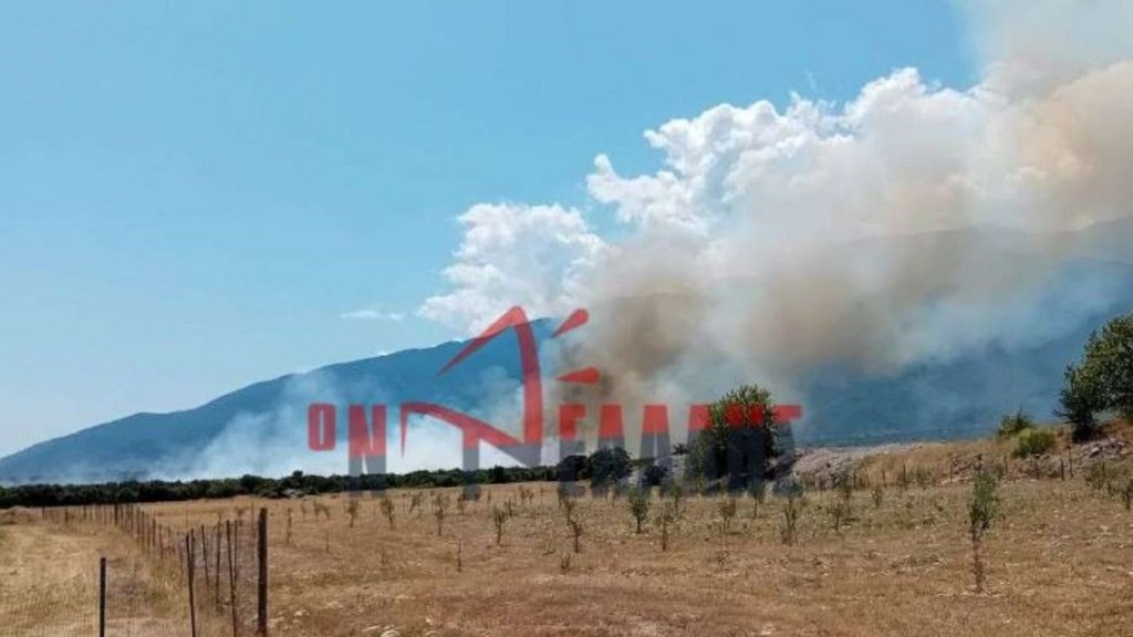 fotia-vrontou-pierias