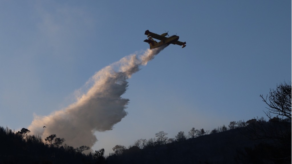 fwtia canadair