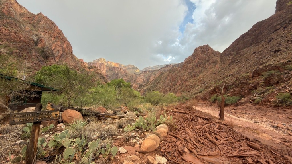 grand canyon new